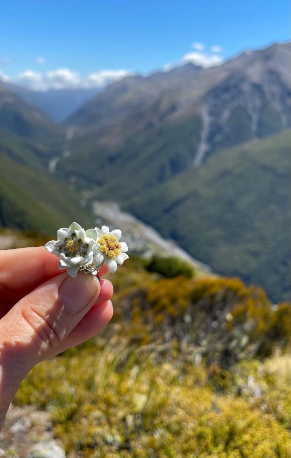 阿瑟帕斯小屋汽车旅馆 阿瑟山口 外观 照片